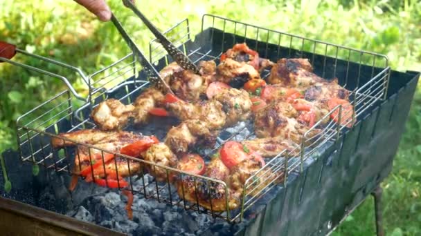Fried Chicken Meats Tomatoes Grill Outdoors Fried Food Fried Smoked — Vídeo de Stock