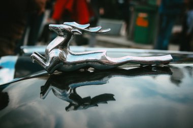 Geyiğe yakın çekim Wolga araba kaput amblemi