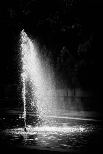 Wiatr Rozpyla Wodę Podświetlanego Przez Słońce Fontanny Obraz Czarno Biały — Zdjęcie stockowe