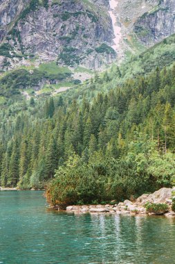 Polonyalı Tatra Dağları 'ndaki buzul gölünün gözü