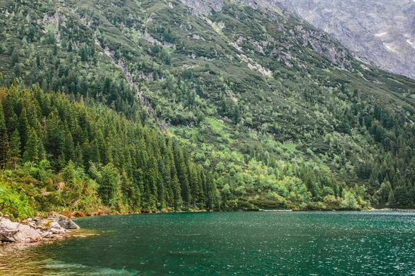Polonyalı Tatra Dağları 'ndaki buzul gölünün gözü