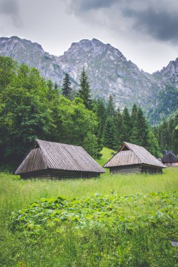 Polonya 'daki Tatra Dağları' nın önünde dağ kulübeleriyle Giewont Dağı 'nın manzarası
