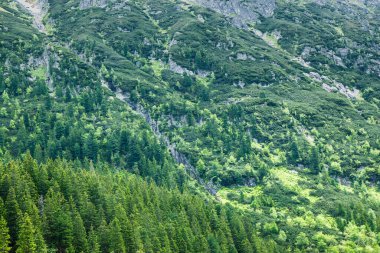 Kurbağa Couloir, Kurbağa Sırtı 'ndaki ormanlık yamaçta, High Tatras' taki Sea Eye göletinin doğu kıyısında.