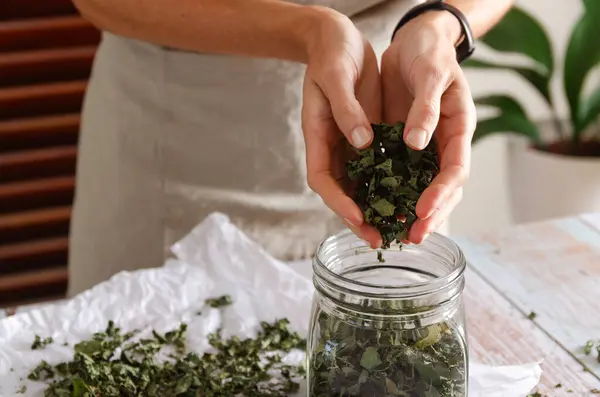 Kadın elleri, masada kavanoza kurumuş nane yaprağı koyuyor.. 