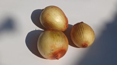 Soğan kullanmaya hazır.