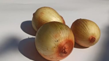 Soğan kullanmaya hazır.