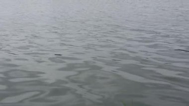 Bahçedeki su deseni