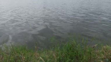 Bahçedeki su deseni