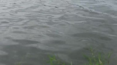 Bahçedeki su deseni