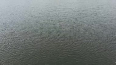 Bahçedeki su deseni