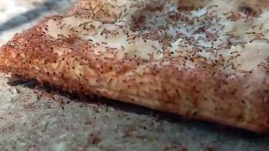 Karıncalar bisküvi krakerinin etrafını sarmış.