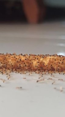 Karıncalar atıştırmalıklara üşüşür