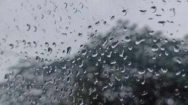 Yağmur damlaları hafifçe yağmaya başlar, toprağı karartır ve havayı toprağın kokusuyla doldurur ve sakin bir beklentiyle doldurur.