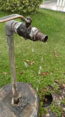 Parkta kırık bir musluk, sızıntı ya da paslanma, çimen ve patikalarla çevrili, ihmal ve bakım ihtiyacını vurguluyor.