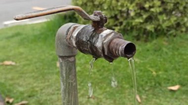 Parkta kırık bir musluk, sızıntı ya da paslanma, çimen ve patikalarla çevrili, ihmal ve bakım ihtiyacını vurguluyor.