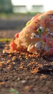 Kırmızı karıncalar küçük bir aperatif parçasının etrafında toplanıyor.