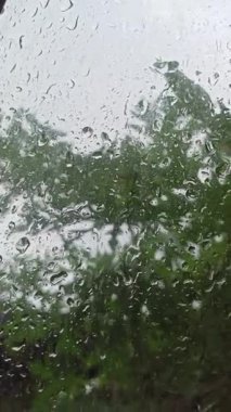 Yağmur sırasında berrak bir şemsiye altında duran şeffaf yüzeyde parlayan yağmur damlalarıyla sakin ve romantik bir ruh hali yaratan bir insan..