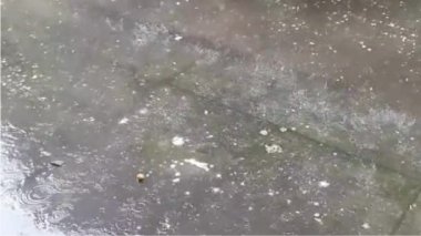 Yağmur mevsimi hep böyle görünür, insanlar dans ederek bu anın tadını çıkarırlar. 