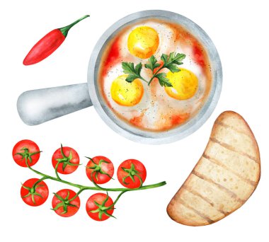 Domates soslu fırında yumurta ve beyaz arka planda ekmekle servis edilen diğer sebzeler. Üst Manzara. Suluboya el çizimi çizimi. Menü, yemek kitabı ve restoran için uygun