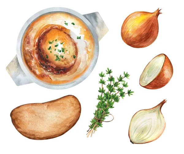 白の隔離された背景にフランスのタマネギスープ 玉ねぎ パンとタイム フランス料理 最上階だ 水彩手描きイラスト メニューや料理本に適しています — ストック写真
