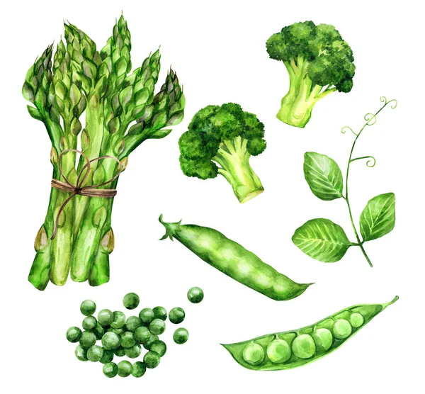 Различные Свежие Зеленые Овощи Спаржа Горох Брокколи Белом Фоне Вегетарианская — стоковое фото
