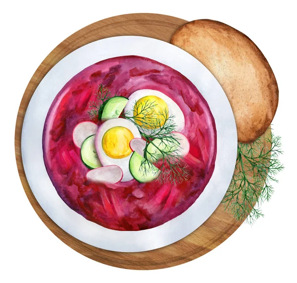 冷甜菜汤 配上萝卜和黄瓜 配上黑麦面包 手绘水彩画 适用于菜单 食谱及餐厅 — 图库照片