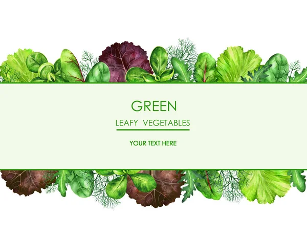 Leafy vegetables banner for menu, restaurant, packaging, labels. Space for your text. Hand drawn sketch watercolor illustration isolated on white background