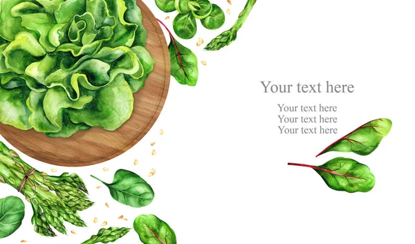 Баннер Дизайн Зеленые Листовые Овощи Пространство Вашего Текста Ручной Рисунок — стоковое фото