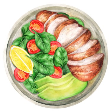 Roasted hicken fillet with fresh salad and avocado, served with lemon. Healthy eating. Hand-drawn watercolor illustration. Suitable for menus, cookbook and  restaurant