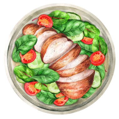 Fresh salad - cucumbers, tomatoes, chard, spinach and grilled chicken fillet in a plate. Healthy eating. Hand-drawn watercolor illustration. Suitable for menus, cookbook and  restaurant