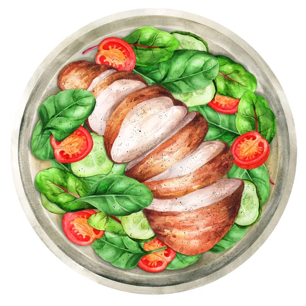 Fresh salad - cucumbers, tomatoes, chard, spinach and grilled chicken fillet in a plate. Healthy eating. Hand-drawn watercolor illustration. Suitable for menus, cookbook and  restaurant