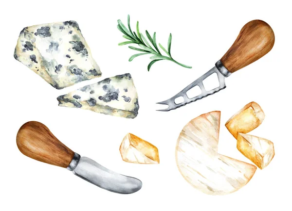 白を基調としたハーブとチーズナイフでブルーチーズとブリチーズ 水彩手描きイラスト メニュー レストラン 料理本 レシピに適しています — ストック写真