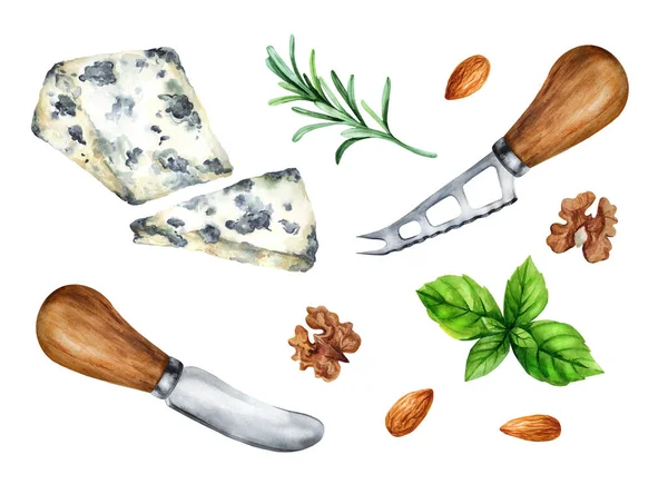 白い背景にナッツとチーズナイフでブルーモールドチーズ 水彩手描きイラスト メニュー レストラン 料理本 レシピに適しています — ストック写真