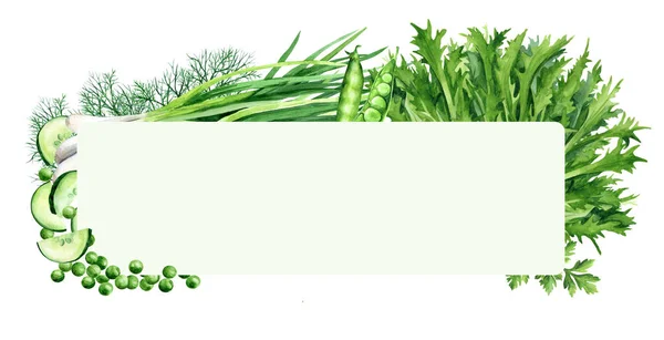 Геометрическая Рамка Зелеными Овощами Копирует Пространство Пространством Копирования Фон Зелеными — стоковое фото