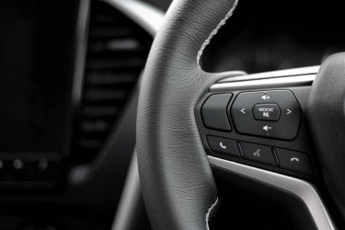 Direksiyonun kontrol düğmesi. Ayarlar ve ses ayarlama düğmeleri. yakın çekim görünümü