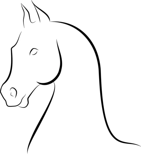 Scetch Simples Uma Cabeça Cavalo Vetor — Vetor de Stock