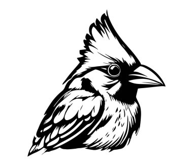 Kızıl Kardinal Siluet Simgesi, Kardinal Kuş, Kızıl Kardinal,