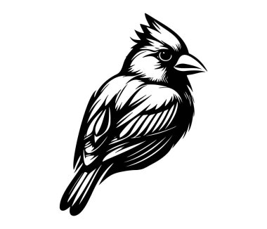 Kızıl Kardinal Siluet Simgesi, Kardinal Kuş, Kızıl Kardinal,