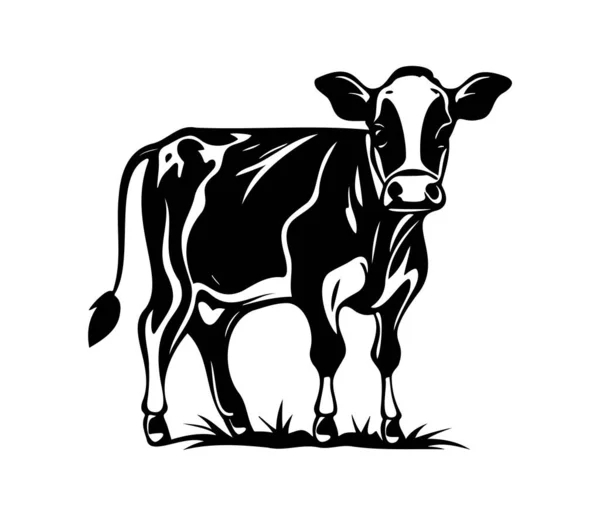 Stock vector Cow portrait stylized vector symbol, Black and white cow, cow, dairy icon