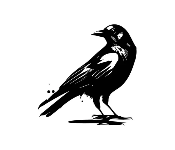 Svarta Fåglar Korp Kråka Råka Eller Jackdaw Vektorillustration Retrostil — Stock vektor