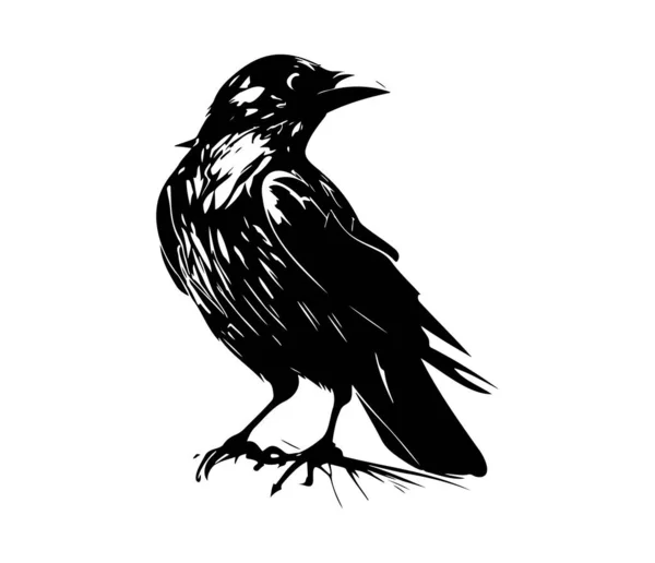 Stock vector Black birds Raven, crow, rook or jackdaw. Vector illustration in retro style.
