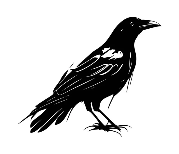 Черные Птицы Ворон Ворон Ладья Галка Векторная Иллюстрация Стиле Ретро — стоковый вектор