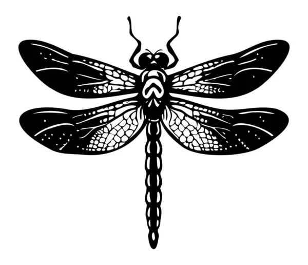 Dragonfly Mão Desenho Vintage Gravura Ilustração —  Vetores de Stock