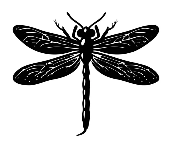 Dragonfly Mão Desenho Vintage Gravura Ilustração — Vetor de Stock