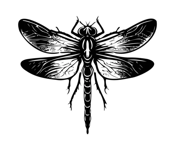 Dragonfly Mão Desenho Vintage Gravura Ilustração —  Vetores de Stock