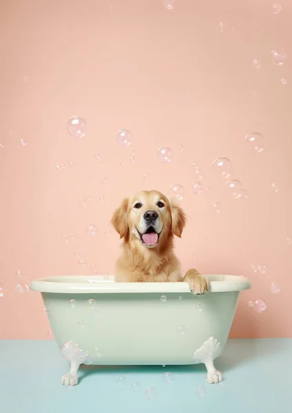 Cão Recuperador Ouro Bonito Uma Pequena Banheira Com Espuma Sabão — Fotografia de Stock