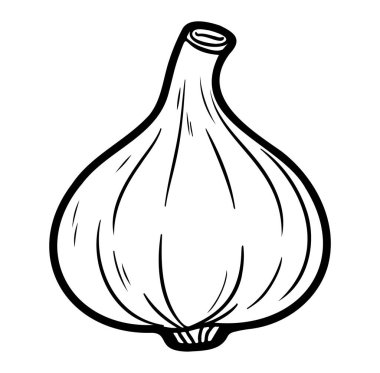 Siyah ve Beyaz Dış Hatlar Biçiminde Basit El Çizimi Sarımsak Ampulü