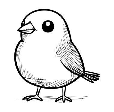 Siyah ve Beyaz Biçimli Tombul Çizgi Film Kuşunun Şirin ve Basit Karalaması