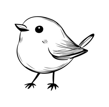 Basit Çizgileri ve Çekici Özellikleri olan Sevimli Bir Kuşun El Çizimi Karalaması