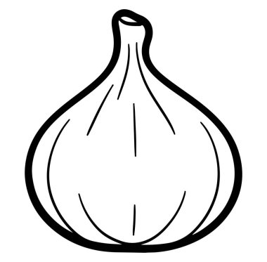 Beyaz Arkaplanda Taze Sarımsak Ampulü Çizimi